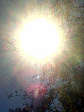 The Sun Loves You, Every Day of Your Life!